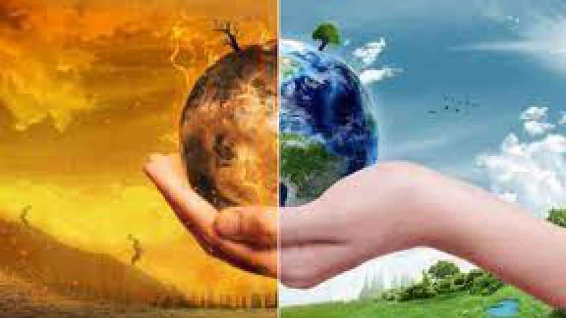 Çevre ve İklim Değişikliği Günü Etkinliklerimiz